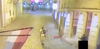 Нападателят във Виена е действал сам