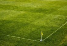 Федерациите молят Борисов да не се блокира спортът, състезанията – при затворени врата