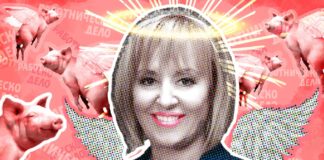 За баланс някой няма ли да пусне сигнал срещу Мая Манолова