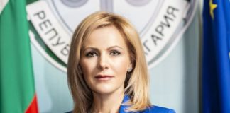 Сийка Милева: ДАНС е проверила досега 85 приватизационни сделки