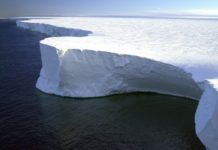 Коронавирусът налази и Антарктида