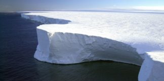 Коронавирусът налази и Антарктида