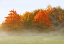 Ноември е бил най-топлият в историята на метеорологията