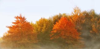 Ноември е бил най-топлият в историята на метеорологията