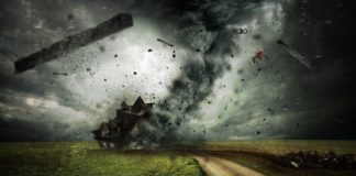 Жълт код за опасен вятър в 14 области в страната