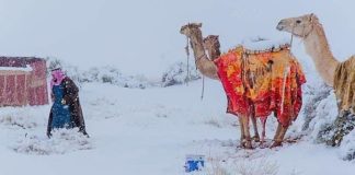 Сняг покри Сахара