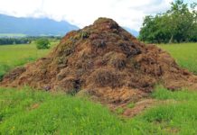 Радвайте се на Радев – където има тор, има и живот