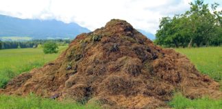 Радвайте се на Радев – където има тор, има и живот