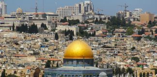 Чипът, който ще ни вкарат с ваксините, не е вреден