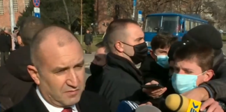 Политическа болонка или вързан на синджир?