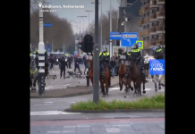 Полицията в Нидерландия: Не сме виждали такова насилие от 40 г.