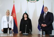 Борисов обсъди със сръбската вицепремиерка изграждането на газова връзка между две страни