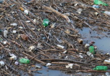 Плаващо сметище в язовир „Кърджали”