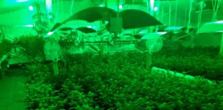 Разбиха нарколаборатория, маскирана като „ферма“ за биткойни