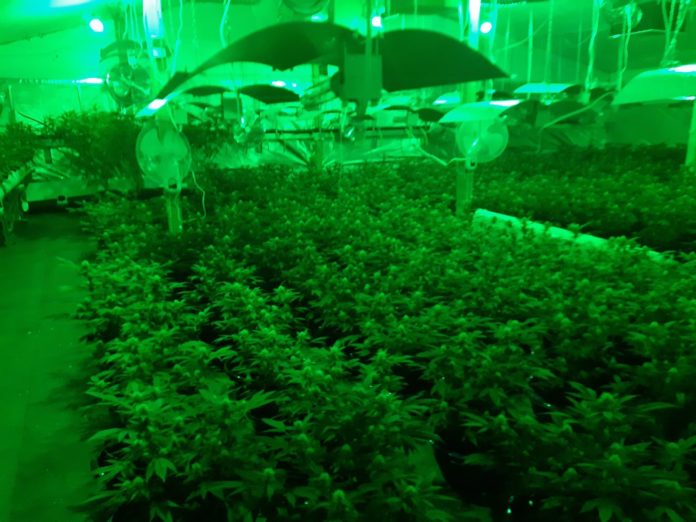 Калугерово-4