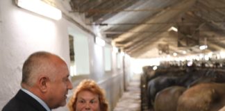 Борисов: Нашите опоненти са слаби, нямат програми, нямат опит и няма какво да покажат /видео/