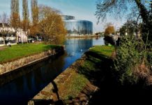 Съветът на Европа изпраща наблюдатели за изборите в България