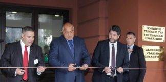 Не сте целите в бяло с клонка от маслина, ДБ!