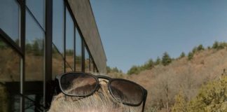 Бавно и постепенно разбирах, че съществува глутница от самопровъзгласили се арбитри, които разкъсват всеки, който не им е от полза или не им целува задниците