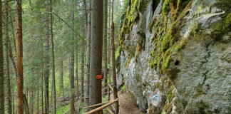Откриха невредими две рускини след 5-часово издирване в Родопите