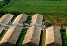 „Градус“: Готови сме за пълна данъчна ревизия и проверки от институциите