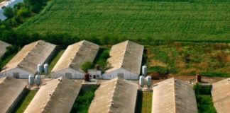 „Градус“: Готови сме за пълна данъчна ревизия и проверки от институциите