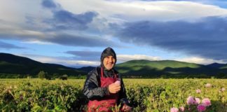 Отчаян пиар ход на Цветанов