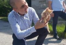 Райето му отива…