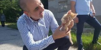 Райето му отива…