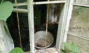 офис, спецов