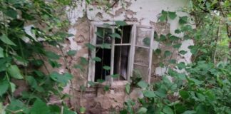 Харвардска сделка! Това е офисът на фирма с 6 млн. лв. оборот, която Спецов продал за 500 лв. на малоимотен рецидивист /видео/