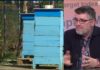 Съюзът на пчеларите: Министър Бозуков говори лъжи и обиди