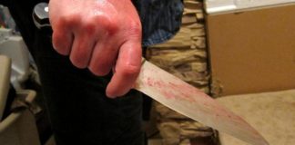 Убийство с нож в асеновградско село