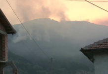 Пожарът обхвана 500 дка борова гора край Твърдица, общината моли за помощ