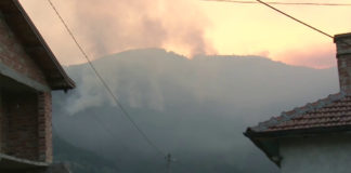 Пожарът обхвана 500 дка борова гора край Твърдица, общината моли за помощ