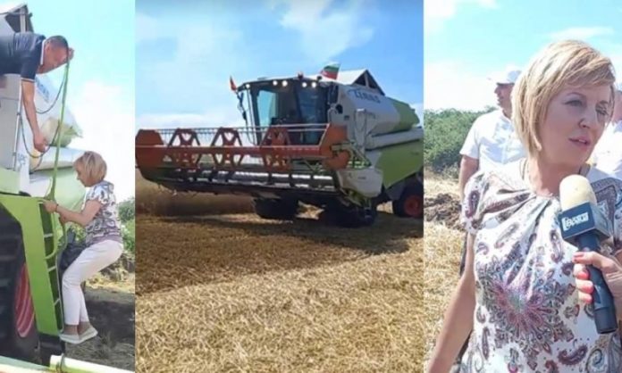 articles__17dd5c4545541ef60b8297151381aa3f