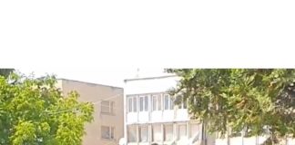 Щурмоваците на Дамаджаната атакуваха 85-годишен дядо заради концерт на Патриотите (ВИДЕО)