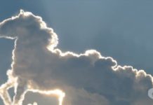 Слави Трифонов страда от психоза според Александър Симов