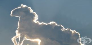 Слави Трифонов страда от психоза според Александър Симов