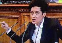 Ивайло Мирчев и Антоанета Цонева не са водачи в ПП-ДБ