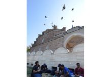 За „министър“ Петков и за президента Радев конституцията е само досадна муха