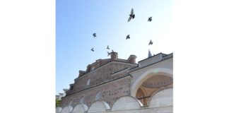 За „министър“ Петков и за президента Радев конституцията е само досадна муха