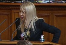Драгомир Стойнев обвини депутатка от ИТН в конфликт на интереси