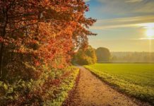 Почти без валежи до края на октомври