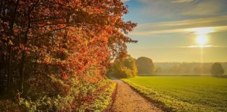 Ветровито до края на седмицата: хладни сутрини, до 20 градуса през деня