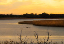 Трупът, изплувал в Мандренското езеро, е на изчезналия рибар Петър Петров