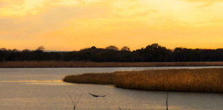 Трупът, изплувал в Мандренското езеро, е на изчезналия рибар Петър Петров