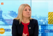 ДБ все пак ще има кандидатпрезидентска двойка