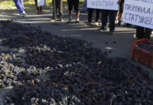 Лозари излизат на протест