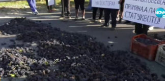 Лозари излизат на протест